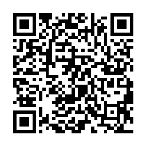 季疏云和慕容谦当年都是这滇京城中黎明百姓的偶像二维码生成