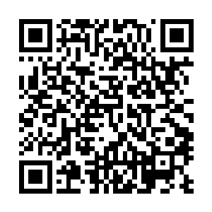 季疏云带着君临天将无极宫城墙之外对的武林绝学学了个遍二维码生成