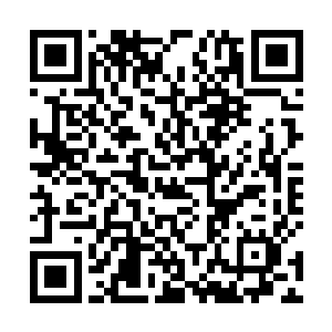 季疏云甚至连他牙齿后面的解毒丹是什么成分都知道了二维码生成