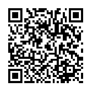 宁光耀示意身后的助手们送上来一大一小俩盒子二维码生成