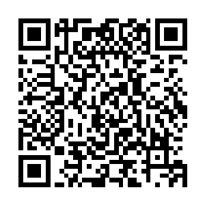 它们就凭借地下城和能分解一切能量的沙漠与妙香他们游斗二维码生成