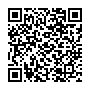 它们的时速可以达到冒险者难以企及的200公里每小时二维码生成