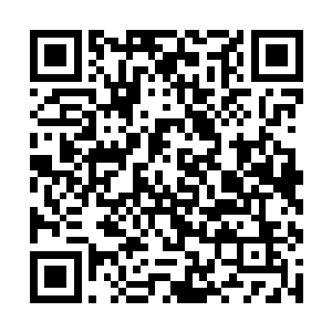 它的实力突破根本就不用像寻常人那样领悟天地玄奥二维码生成