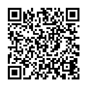 它的本能驱使它寻找那些蕴藏着剧烈能量的东西二维码生成