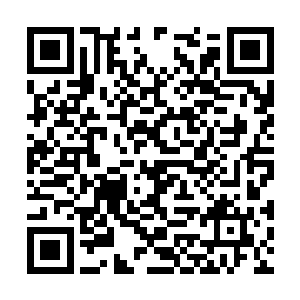 它绝对不会承认自己是想为了戏耍这个新认的主人二维码生成