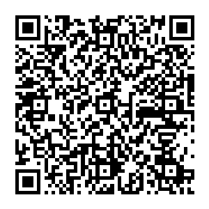 它能把两个相互喜欢的人折磨的十多年都口是心非也能让两个心生隔阂的人消除屏障温柔相向二维码生成
