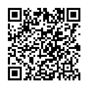 它觉得能治疗好它这么严重伤势的穿沙甲一定是不平凡的二维码生成