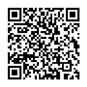 它说占领这玉仙门的大妖仙要设伏坑害你们想要夺回神塔的仙家二维码生成