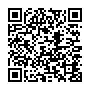 它额头那三根轻颤如丝的鲜红细羽在裸露在空气中二维码生成