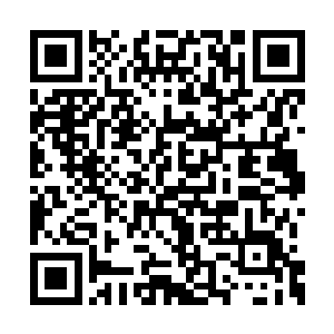 守在外面的宫女太监及小岩带来的侍卫都看着呢二维码生成