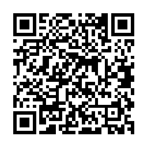 守林人师父鬼魂应该把他之前被封印的诸多阵法全部教习给我二维码生成