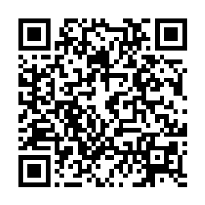 安溪公主显然对这样一个倔强又有点任性的小姑娘很头疼二维码生成