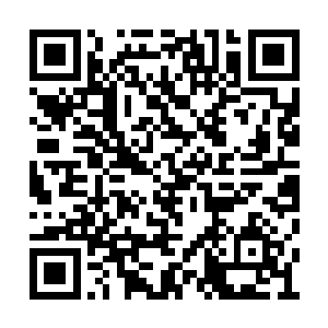 安齐远果见依旧维持着打坐姿势的苏澈眉关紧锁二维码生成