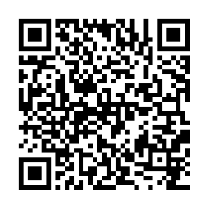 宋力行绝不会强迫各家的军方大佬登上自家控制下的总旗舰二维码生成