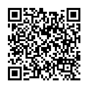 完全不知道今天是自己轻闲小日子结束的起始点儿二维码生成