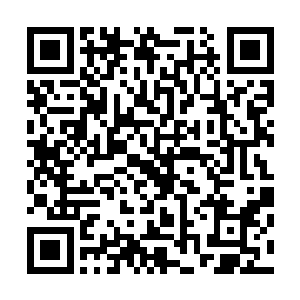 完全不知道刚才总裁为什么会让他做那种没什么意义的事儿二维码生成