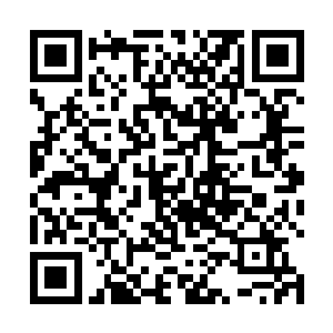 完全变了样子……而这一团黑雾也是快速的扑向了秦方二维码生成