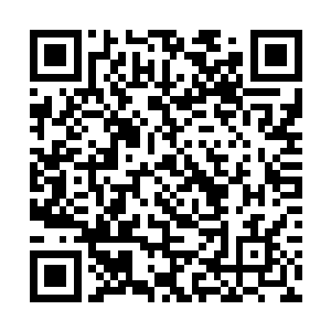 完全和他用拳头砸在那些魔化傀儡师身上的效果一样二维码生成