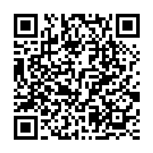 完全是因为我们所有的力量前去牵引了整个暗屠和部分的夜门二维码生成