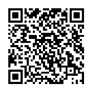 完全沉浸在各种想法里的乌灵没发觉她速度越来越慢二维码生成