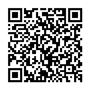 完完全全的依靠科学院当中的船舶设计师力量完成的全部设计二维码生成