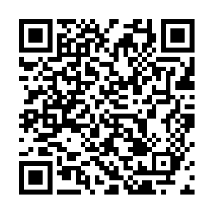 完完全全的用着自己的实力将诸葛正明整个人给废掉了二维码生成