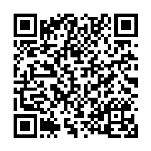 完整无缺地将他们所要表达的意思传递给她的识海二维码生成