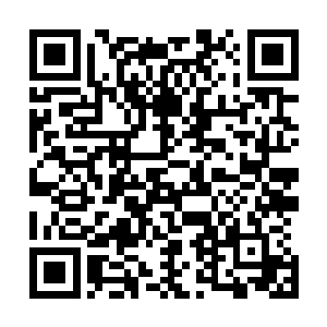 宗正林和黎允他们这些第二层的弟子已经和我们进行了汇合二维码生成