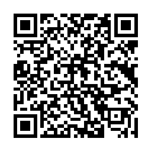 定会其的从黄泉世界爬回来狠狠扇你这小笨蛋的耳光二维码生成
