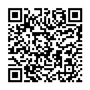 宛若飞蛾扑火冲向九天玄女的诸多神国高手变成飞灰二维码生成