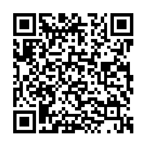 宛若龙卷风一般的风柱快速将他们置于风眼之中二维码生成