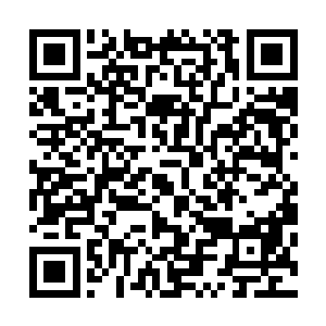 宝贝儿表现的好极了就等着我们出海把海里的鱼都捞回来了二维码生成