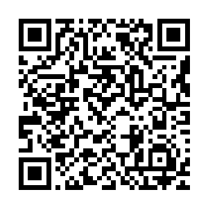 实力大涨后蛮横无理的七长老>傲自满随时都要端着的七长老二维码生成