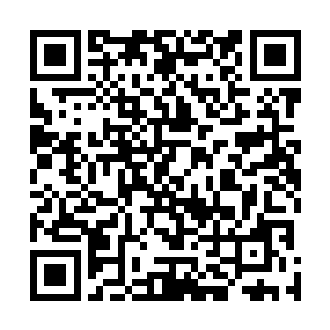 实力达到七阶魔兽层次的战争巨兽根本就没坚持多长时间二维码生成