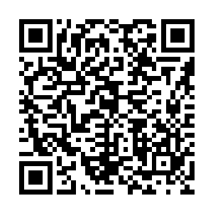 实在是不曾想到张潇晗这般容易就接受了从种植灵药开始的学习二维码生成
