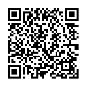 实在是鬼市总镇府门口站班的青月和龙信把他们给惊着了二维码生成
