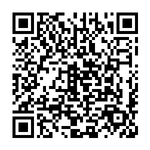 实在难把现在的卢燕燕和刚开始在海大音乐学院第一次遇到她的模样联系到一起二维码生成