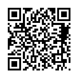 实际上他们打架的时候根本就上不去二维码生成