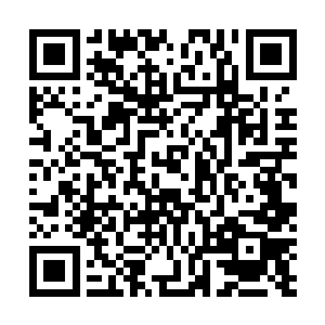 实际上刚才我开出的条件已经是微软可以付出的最大诚意二维码生成