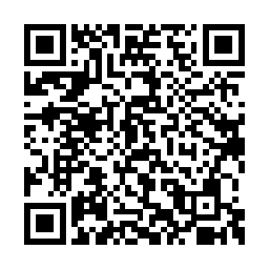 宫主说老宫主身前答应过你回来后提拔你为殿主二维码生成