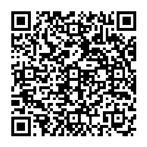家里的两个崽子也不呈多让……等到我们一家老小哆哆嗦嗦的要钻地窖听天由命的时候二维码生成