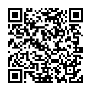 家里那一辈子兢兢业业教书育人的老爷子就第一个饶不了二维码生成