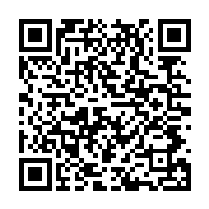 家里面的其他哥哥和姐姐除却必要的身体检查之外二维码生成