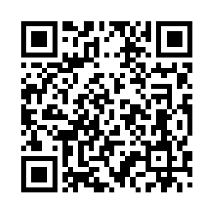 密密麻麻的小黑虫趴伏在七彩蝶身上二维码生成