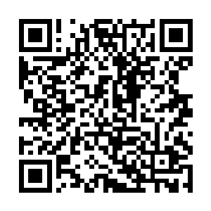 寇文蓝又传音把那位领命之人向碧月夫人介绍了一下二维码生成