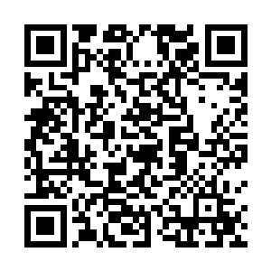 寒菲樱看着那些意气风发的优胜者和垂头丧气的淘汰者二维码生成