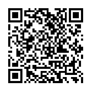 对于一个没有经历过六百年前那一战的人类来说二维码生成