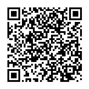对于一般的刚化蛟成龙的乌龙来说他们的这些能量一般都用来恢复伤势了二维码生成