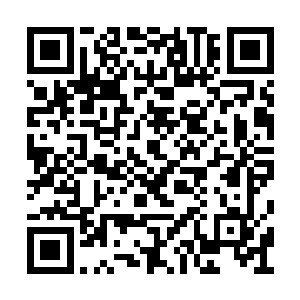 对于叶惟的个人追捧已经盖过了胖妞事件的关注二维码生成