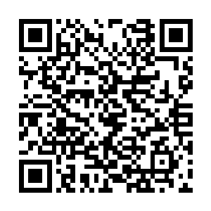 对于整个霸王龙来说也只是几十分之一的损失而已二维码生成